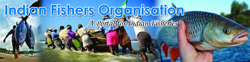 indian-fishers-org